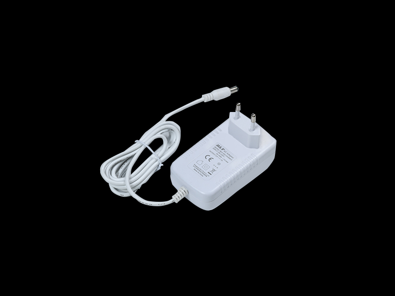 E02 48W power adapter